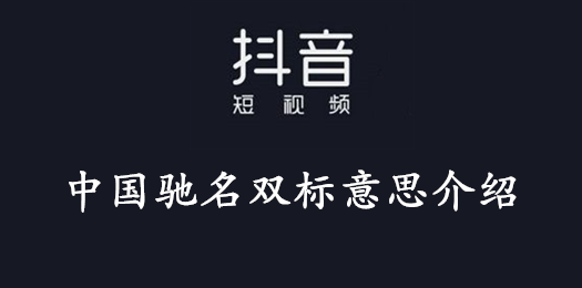 抖音中国驰名双标意思介绍