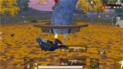 和平精英桂花树位置介绍