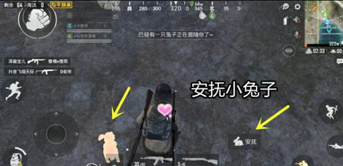 和平精英兔子刷新位置介绍