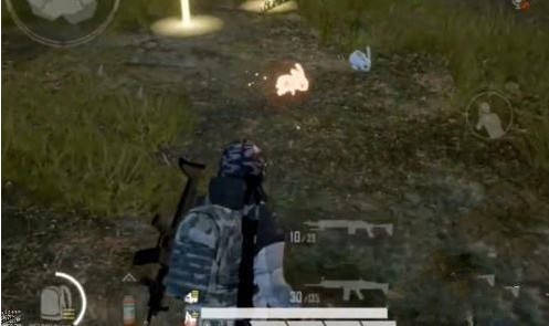 和平精英兔子取消跟随方法介绍