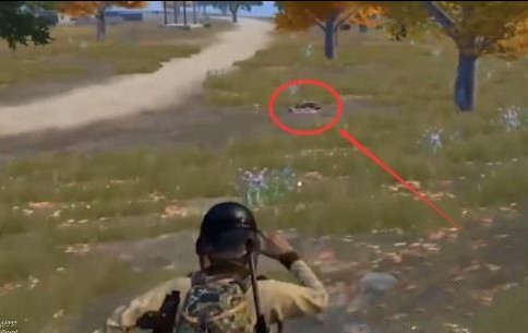 和平精英野餐点位置介绍