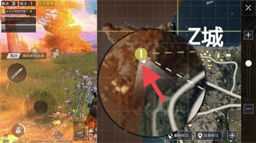 和平精英枫叶林位置介绍