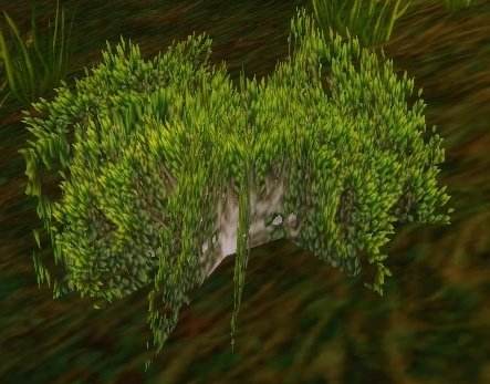 魔兽世界怀旧服枯叶草刷新位置攻略