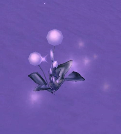 魔兽世界怀旧服冰盖草刷新位置攻略