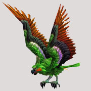 魔兽世界怀旧服金翼鹦鹉获得方法介绍