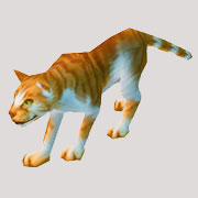 魔兽世界怀旧服黄猫获得方法介绍