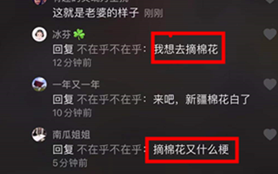 摘棉花是含义介绍