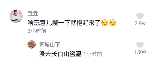 派去长白山盗墓意思介绍