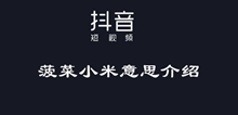 抖音菠菜小米意思介绍