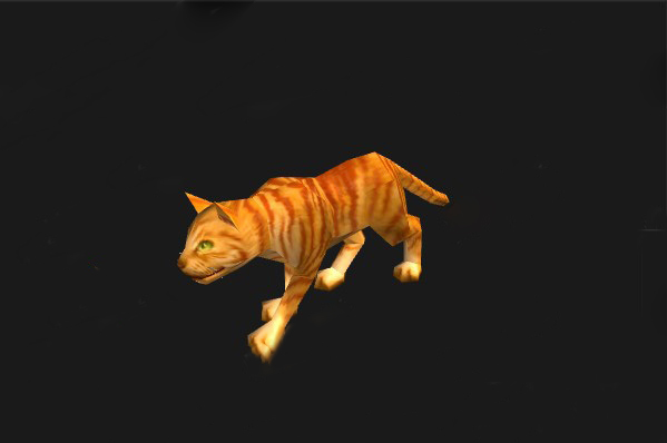 魔兽世界怀旧服虎皮猫获得介绍