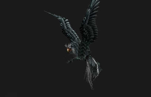 魔兽世界怀旧服黑色猫头鹰获得方法介绍