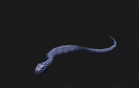 魔兽世界怀旧服黑色王蛇获得方法介绍