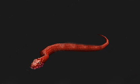 魔兽世界怀旧服赤练蛇获得方法介绍