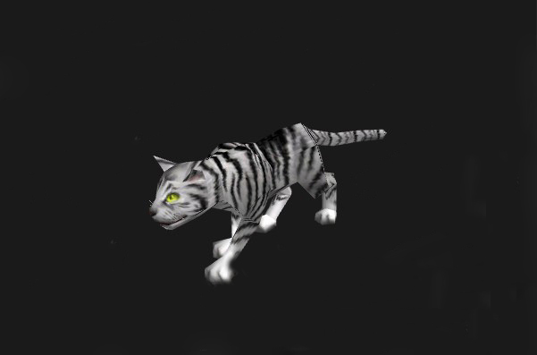 魔兽世界怀旧服黑纹灰猫获得方法介绍