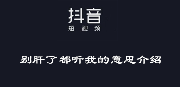别肝了都听我的意思介绍
