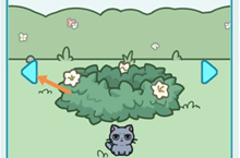 天天躲猫猫3森林公园第五关通关攻略
