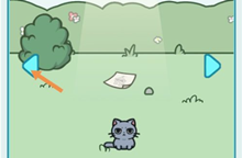 天天躲猫猫3森林公园第十一关通关攻略