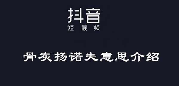 骨灰扬诺夫意思介绍