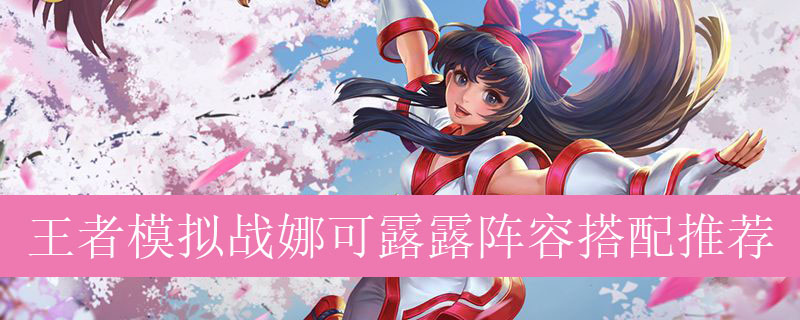 王者模拟战娜可露露阵容搭配推荐