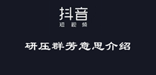 抖音研压群芳意思介绍