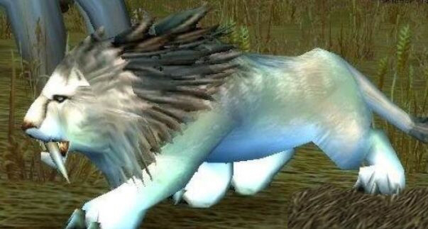 魔兽世界怀旧服埃其亚基位置介绍