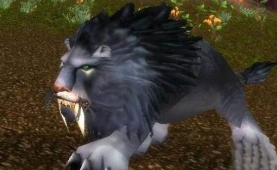 魔兽世界怀旧服狮王休玛位置介绍