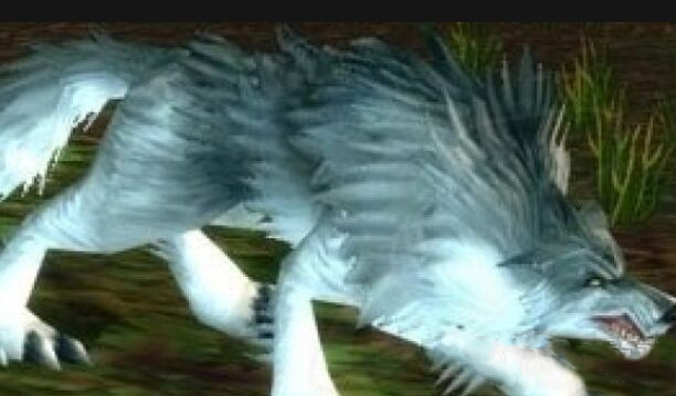 魔兽世界怀旧服迷雾嚎叫者位置介绍