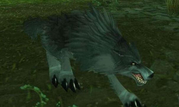 魔兽世界怀旧服咆哮者位置介绍