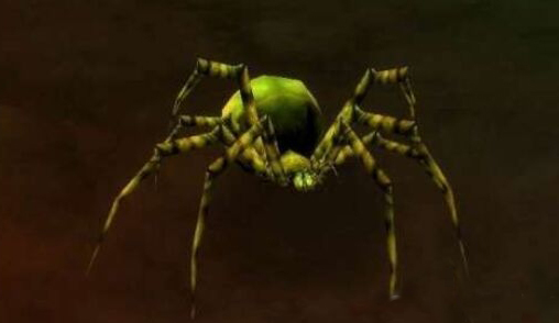 魔兽世界怀旧服吸血寡妇位置介绍