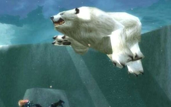 魔兽世界怀旧服游荡的冰爪熊位置介绍