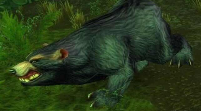 魔兽世界怀旧服灰腹老熊位置介绍