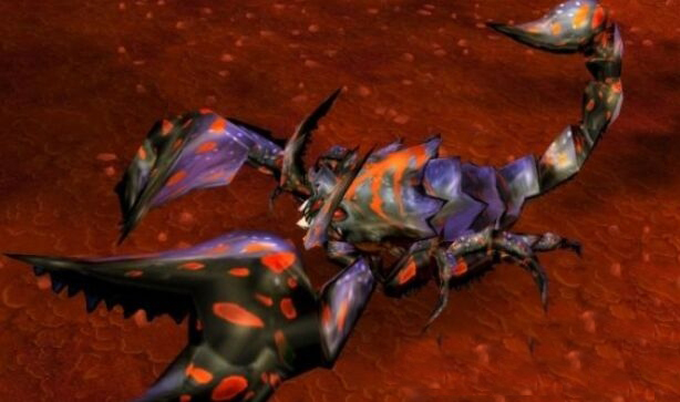 魔兽世界怀旧服掠夺者科拉克位置介绍