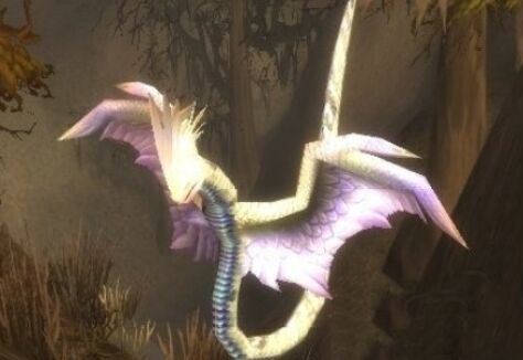 魔兽世界怀旧服哈尤克位置介绍