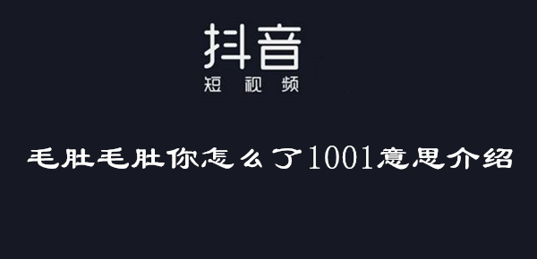 毛肚毛肚你怎么了1001意思介绍