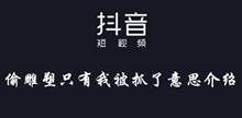 抖音偷雕塑只有我被抓了意思介绍