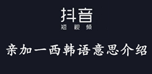 抖音亲加一西韩语意思介绍