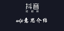 抖音wlp意思介绍