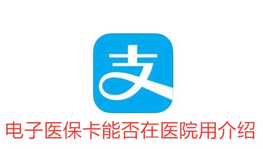 电子医保卡能否在医院用介绍