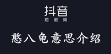 抖音憨八龟意思介绍
