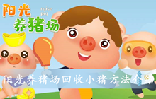 阳光养猪场回收小猪方法介绍