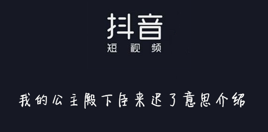 抖音我的公主殿下臣来迟了意思介绍