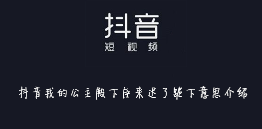 抖音我的公主殿下臣来迟了跪下意思介绍