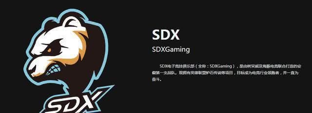 lolSDX战队介绍