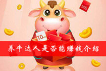 养牛达人是否能赚钱介绍
