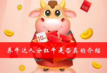 养牛达人分红牛是否真的介绍