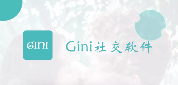 Gini软件攻略教程