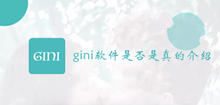 gini软件是否是真的介绍