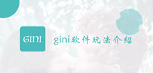 gini软件玩法介绍