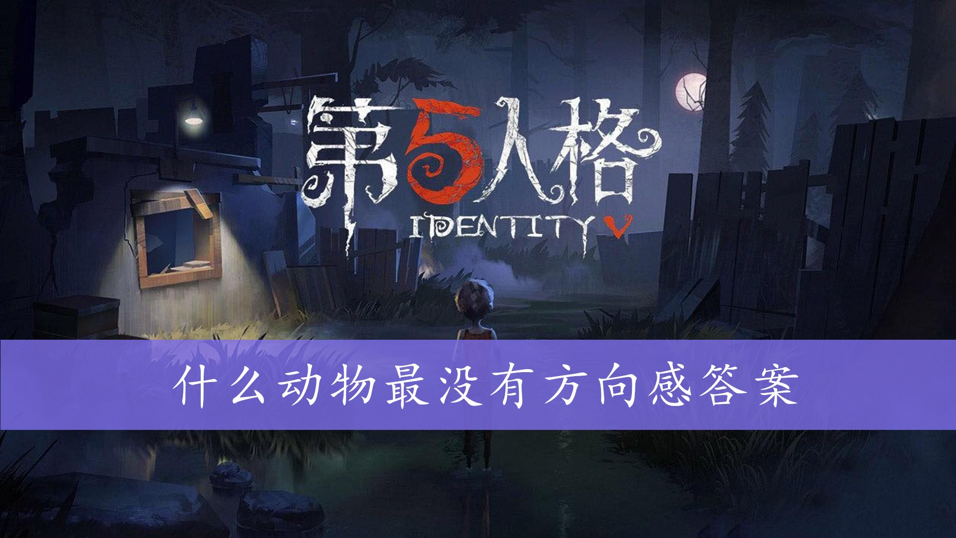 什么动物最没有方向感答案