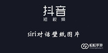抖音siri对话壁纸图片